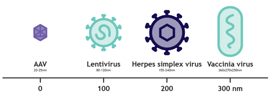 Advancing purification strategies for large viral modalities using nanofiber adsorbent technology Advancing purification strategies for large viral modalities using nanofiber adsorbent technology